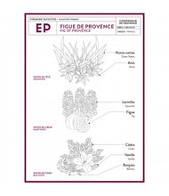 Load image into Gallery viewer, Travel Hand Cream - Fig of Provence - Cie Luxe | Your Life Styled
