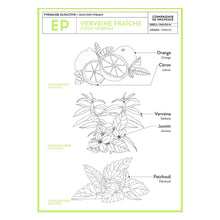 Load image into Gallery viewer, Liquid Marseille Soap & Refill Set - Fresh Verbena Bundle