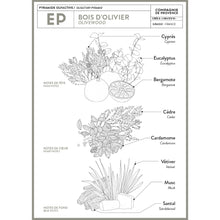 Load image into Gallery viewer, Liquid Marseille Soap Refill 33.8 fl. oz. - Olive Wood - Cie Luxe | Your Life Styled