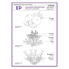 Load image into Gallery viewer, Liquid Marseille Soap &amp; Refill Set - Aromatic Lavender