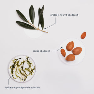 Sorbet Face Cream 1.6 fl. oz. - Velvet Seaweed - Cie Luxe | Your Life Styled